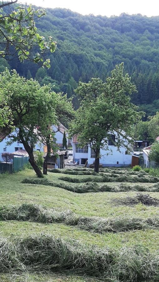 Babickin Dom Villa Mezőlaborc Kültér fotó
